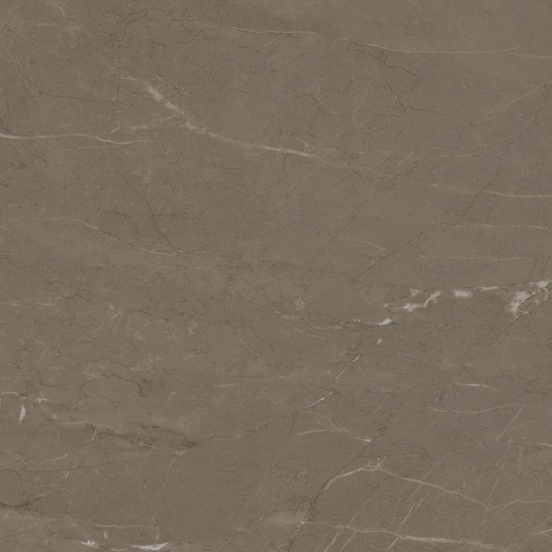 Armani Taupe - 2811 - Imagem 5