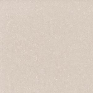 Fossili Avena - 2826