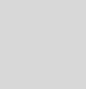 Classic Gris - 72089