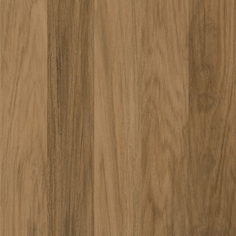Texas Taupe - Imagem 2