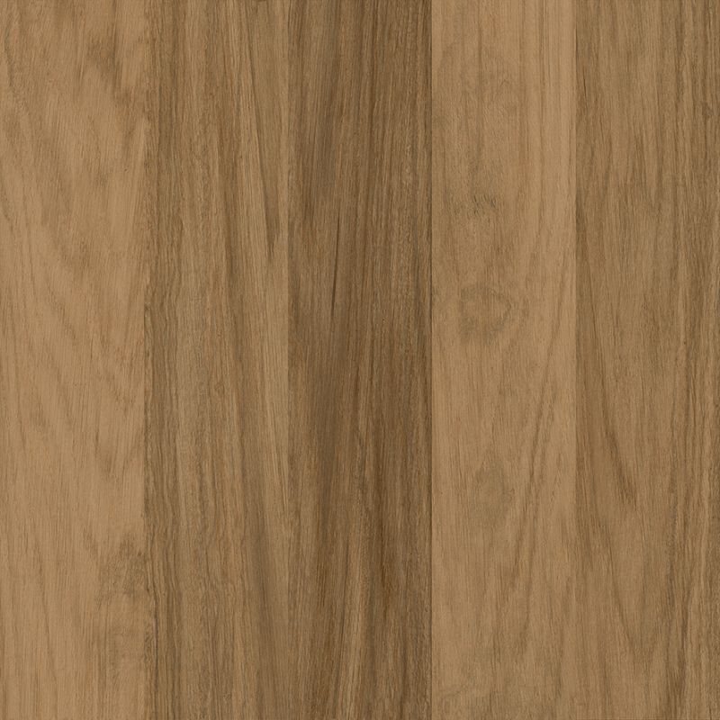 Texas Taupe - Imagem 3