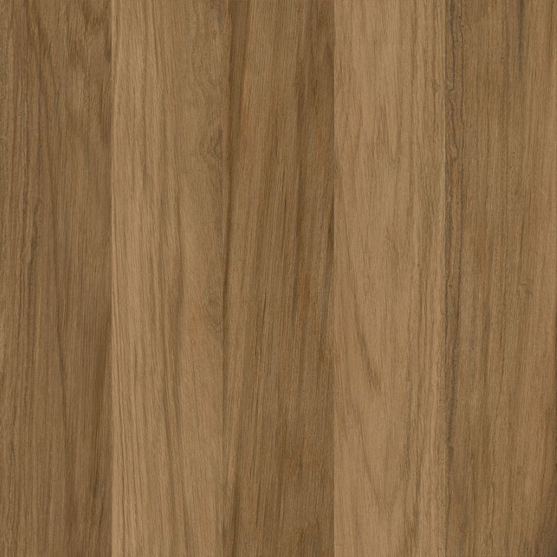 Texas Taupe - Imagem 4