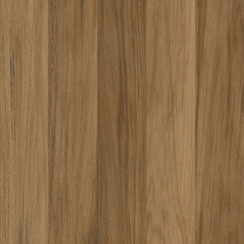 Texas Taupe